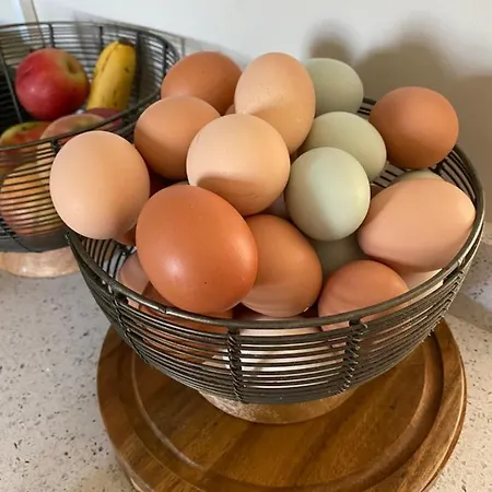 לינה וארוחת בוקר White House Farm - Beautiful Self Contained Courtyard 3*