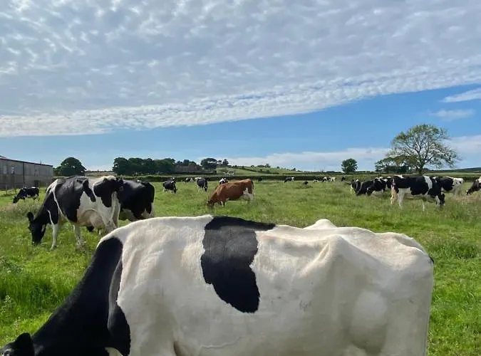 White House Farm - Beautiful Self Contained Courtyard 3* Ugthorpe