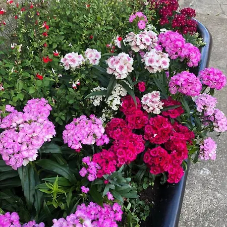 住宿加早餐酒店 White House Farm - Beautiful Self Contained Courtyard 4*