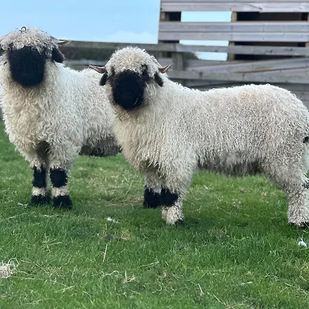 White House Farm - Beautiful Self Contained Courtyard Bed & Breakfast 3*