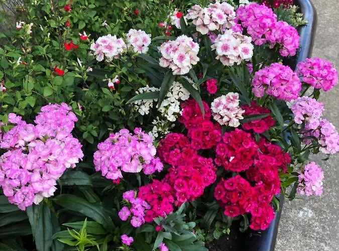 Bed & Breakfast White House Farm - Beautiful Self Contained Courtyard 3*