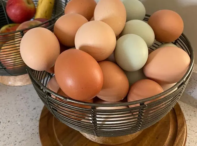 Bed & Breakfast White House Farm - Beautiful Self Contained Courtyard 3*