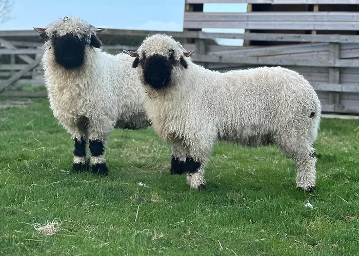 White House Farm - Beautiful Self Contained Courtyard Bed & Breakfast 3*