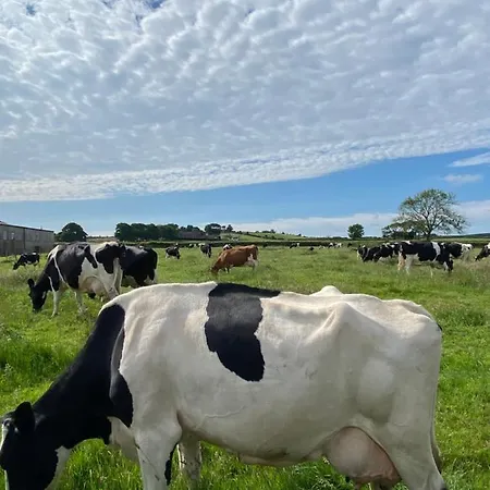 White House Farm - Beautiful Self Contained Courtyard 3* Ugthorpe